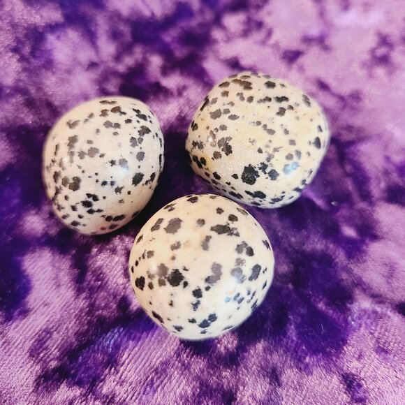 Other - Dalmatian Jasper Tumblestones – Set of # - Joy, Protection & Balance